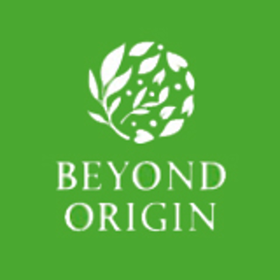 BEYOND ORIGIN
