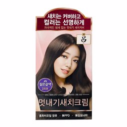 RYO HAIR COLOR 4N DARK BROWN (1ea)
