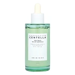 SKIN1004 MADAGASCAR CENTELLA TEA-TRICA RELIEF AMPOULE (100ml)
