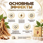 LG HOUSEHOLD & HEALTH CARE VITAL GARDEN JINHONGSAM DAEBO (7g×60sticks)