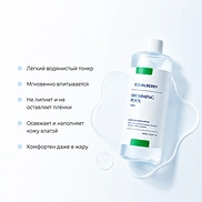 EQQUALBERRY SWIMMING POOL TONER (300ml)